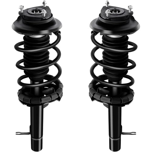 AUTOMUTO Strut Spring Assembly Front Pair Fit 2000-2005 for Ford Focus
