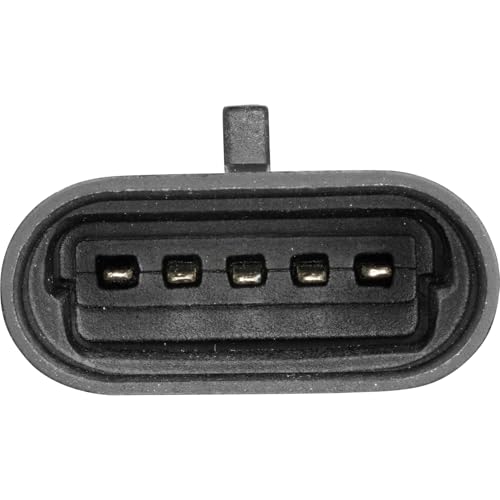 Holstein EGR Valve