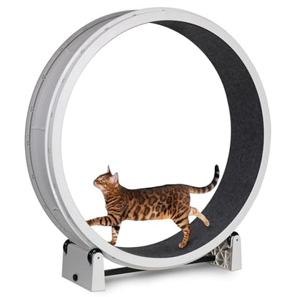 One Fast Cat - Cat Exercise Wheel - Made in the USA - 48" Diameter - Gen. 7 - color: White Wheel / Black Felt / Solid Black Inline