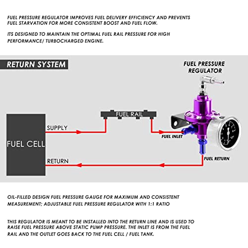 Auto Dynasty 160psi Adjustable Aluminum Fuel Pressure Regulator+Oil Filled Gauge (Purple) - color: Purple
