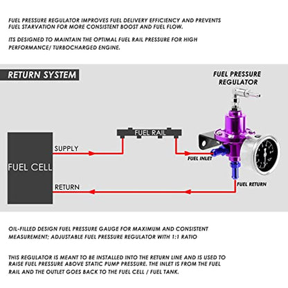 Auto Dynasty 160psi Adjustable Aluminum Fuel Pressure Regulator+Oil Filled Gauge (Purple) - color: Purple