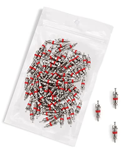 Riseuvo 100Pcs Schrader Tire Valve Cores - size: 100pcs-valvecores