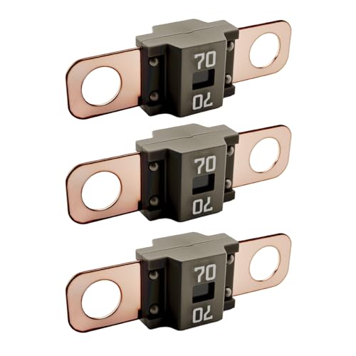3PCS AMI/Midi Fuse, High Current 70A - color: 70A