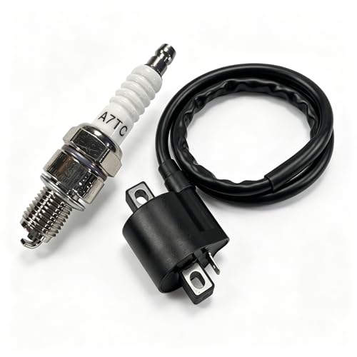2 PCS Racing Ignition Coil with A7TC Spark Plug, High Performance Kit for CG Vertical Engine, 50-250cc ATV Dirt Bike Go Kart, Compatible with Motorcycle (Black)