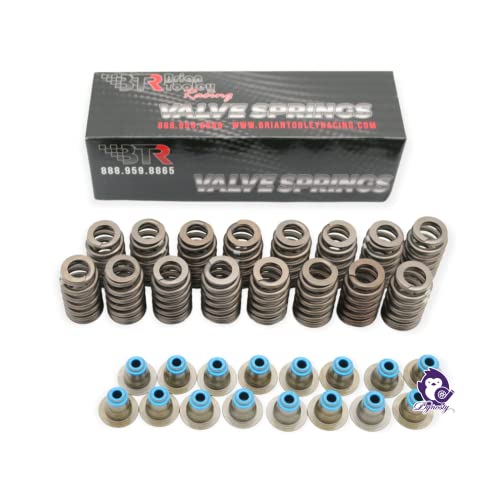 Dynosty BTR TRUCK NORRIS Cam Kit with Pushrods Delphi Lifters, Trays, Head Gaskets LS 4.8 5.3