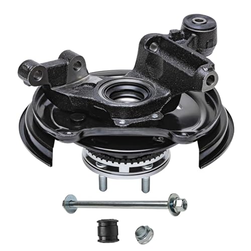 Detroit Axle - Rear Steering Knuckles & Wheel Hub Bearings Struts w/Coil - size: 4QU48640/ Big strut kit