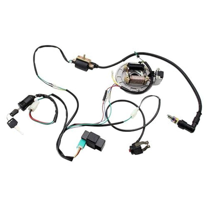PRO BAT Lifan Kick Start Wiring Harness 2-Coil Stator 5-Pin AC CDI