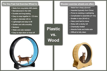 One Fast Cat - Cat Exercise Wheel - Made in the USA - 48" Diameter - Gen. 7 - color: Black Wheel / Koi Pond Foam / Black Inline