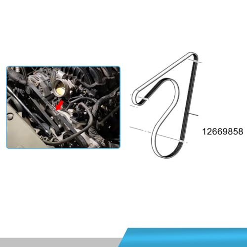 V-Ribbed Serpentine Belt & Air Conditioning Compressor Belt for Silverado