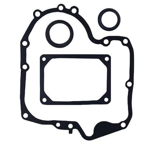697110 795387 Crankcase Gasket & Oil Seal Combo Set for Briggs Stratton