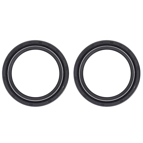 Road Passion 40x52x10mm Front Fork Oil Seal and Dust Seal Kit for Aprilia Scarabeo 400/500 2005-2007 /Red Rose 125 Custom 1995-1999 - color: Oil Seal