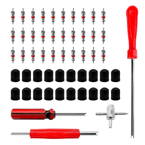 64‬PCS Tire Valve Stem Removal Tool Kit, Dual & Single Head Puller 4-Way Tool w/ 30 Valve Cores & 20 Valves Caps, Tire Stem Core Remover Installation Tools for Most Cars