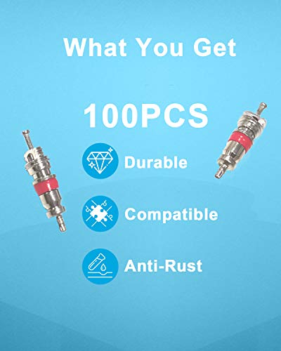 Riseuvo 100Pcs Schrader Tire Valve Cores - size: 100pcs-valvecores