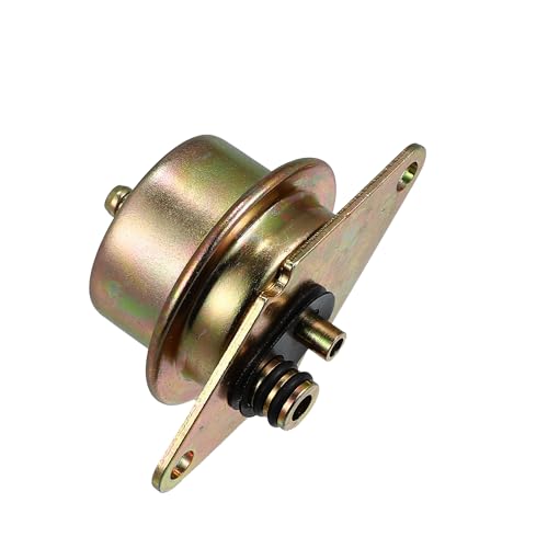 Fuel Injection Pressure Regulator for Ford F-150 1994-1999 for Ford F-250 1993-1999 Replaces F4SZ9C968A F4TZ9C968B Replacement