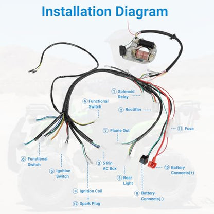 EOPOAYI Complete Wiring Harness Kit for Tao tao Coolster 110cc Chinese ATV