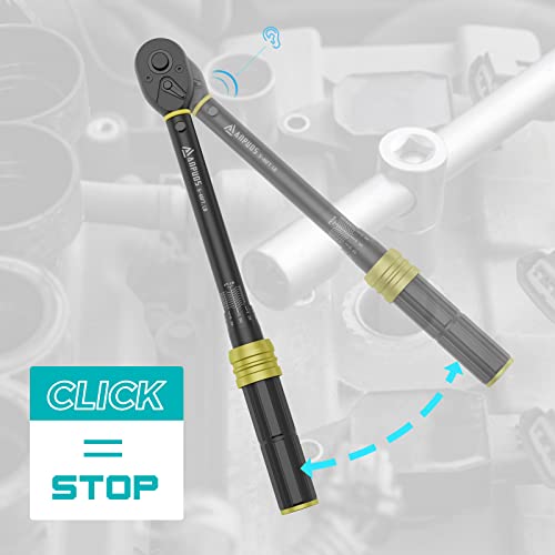 ANPUDS 3/8" Click Torque Wrench, 5-45 Ft-Lb/6.8-61 Nm, Lightweight Aluminum - size: 5-45 ft-lb / 6.8-61 Nm