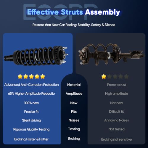 ECCPP Complete Strut Assembly Shock Absorber for Buick Rainer - size: 2*Front Complete Strut