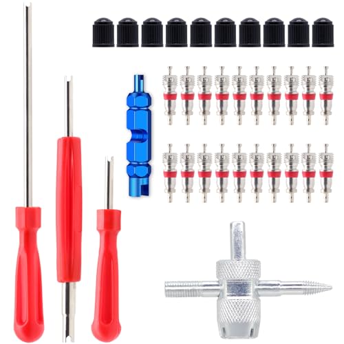 Valve Stem Removal Tool - 20Pcs Valve Cores, 10Pcs Tire Valve Caps, 4-Way Valve Tool, Valve Core Remover Tool By ZHSMS(35 PCS)