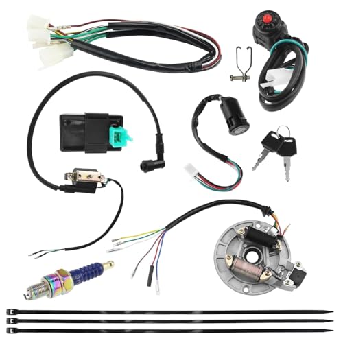 PRO BAT Lifan Kick Start Wiring Harness 2-Coil Stator 5-Pin AC CDI