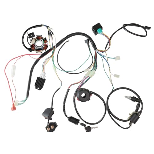 PRO BAT Full 125cc ATV Electrical Wiring Harness 5-Pin AC CDI 6-Coil Stator - color: White Spark Plug, size: Half-wave Rectifier