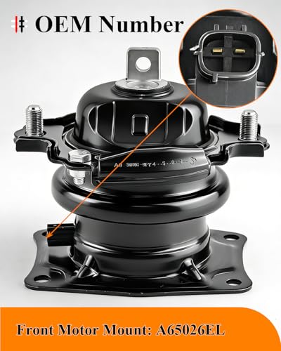 Engine Motor Trans Mount Kit for Honda Odyssey EX-L/EXL/Touring 2005 2006 - size: 2005-2006 Honda Odyssey EX-L/Touring 3.5L V6