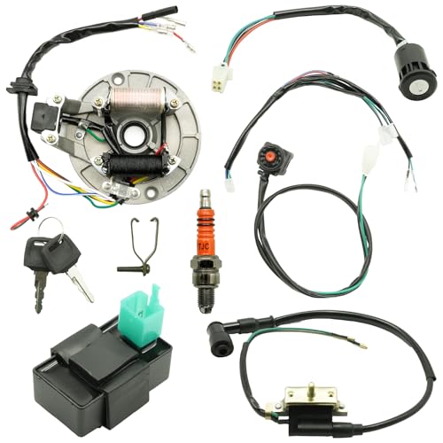 EATAKWARD ATV Rebuild Kit Wire Harness Kit, Start Dirt Pit Bike Wire Harness 2 Coil Magneto stator Plate CDI Replacement for 4 Stroke 50cc 70cc 110cc 125cc 90cc Magneto Spark Plug
