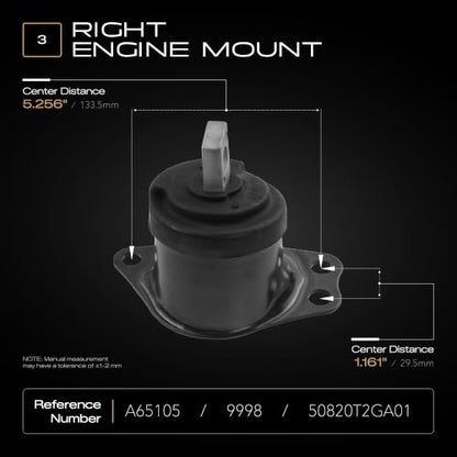 Engine Motor Trans Mount Hydraulic Set of 5 Compatible with Accord and TLX - size: 2013-2017 Accord V6 3.5L / 2015-2020 TLX