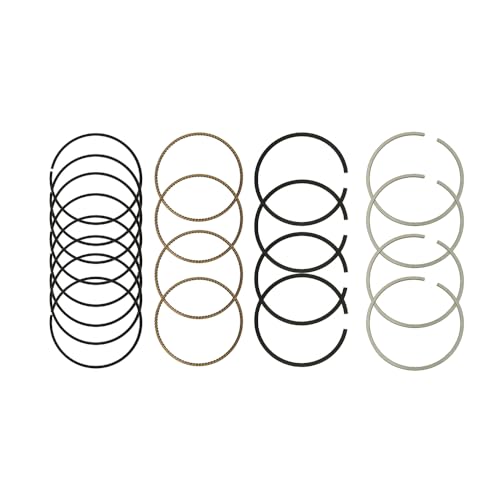 STD Engine Piston Rings Set Compatible with Buick Chevy Cruze Encore 2011-2015 1.4L L4 DOHC,Replace Piston Ring STD 25195065,55571045 - color: 25195065 Engine Piston Ring