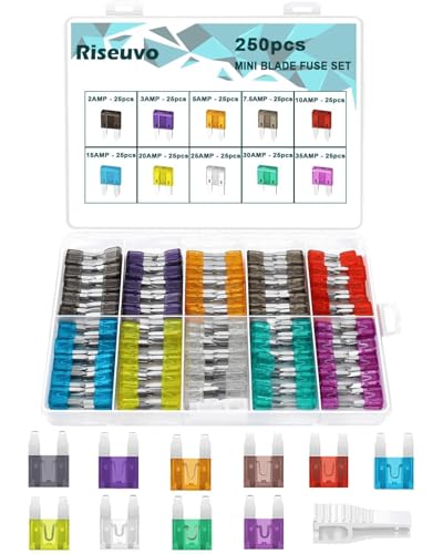 Riseuvo 250Pcs Mini Blade Fuses Assortment Kit with Fuse Puller - size: Mini