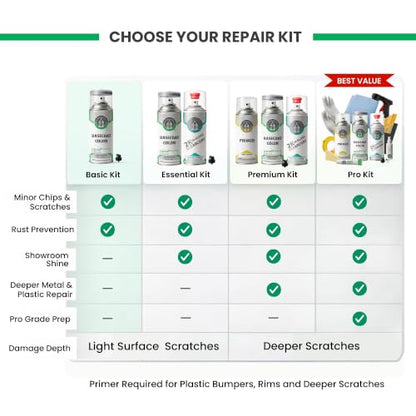 ERA Paints - WA213M/GIW - Graystone Metallic for GMC Exact OEM Color Match Automotive Touch Up Paint for Cars - Spray Paint with Premium Spray Nozzle - Basic Kit - Made in USA - style: Spray - Basic Kit