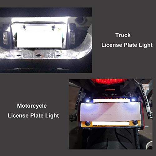 License Plate Light, License Tag Screw Bolt Lamp,12V White LED Lights(4PCS)