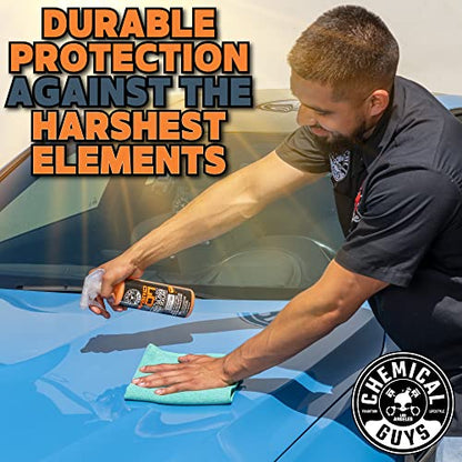 Chemical Guys, Hybrid V7 High Gloss Spray Sealant & Quick Detailer, 16 oz - size: 16 Ounce (Pack of 1)