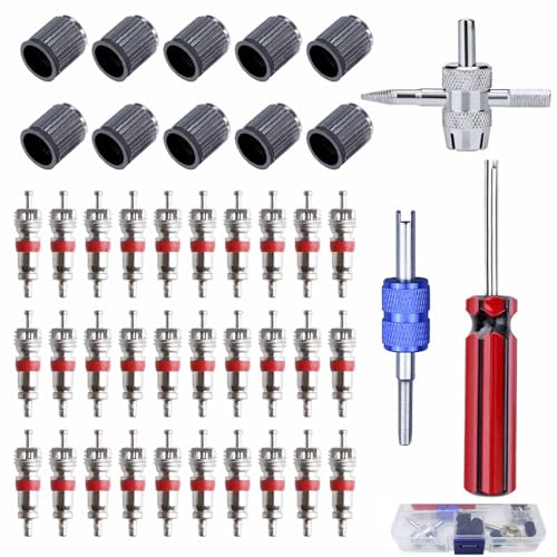 43Pcs Tire Valve Core Remover Tools with 30Pcs Valve Stem Cores,10Pcs Tire Stem Valve Caps, 4-Way Valve Stem Core Tool, Dual & Single Head Tire Valve Core Remover Installer Tools