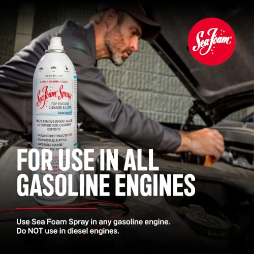 Sea Foam Spray Intake System and Valve Cleaner, 14 oz, Pack of 1 - size: Pack of 1