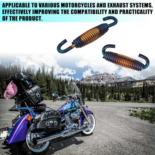 Motorcycle Exhaust Spring with Swivel Hooks, 40-60 mm Extended Range Stainless Steel Exhaust Pipe Spring Fasteners for Motorcycles, Scooters, ATVs Exhaust Pipe Muffler Swivel Springs (G/B)