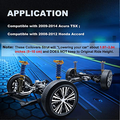 MOSTPLUS Full Coilovers Struts Compatible for 2008-2012 Honda Accord/2009-2014 Acura TSX Shock Absorber Assembly (Set of 4) - size: 2008-2012 Honda Accord