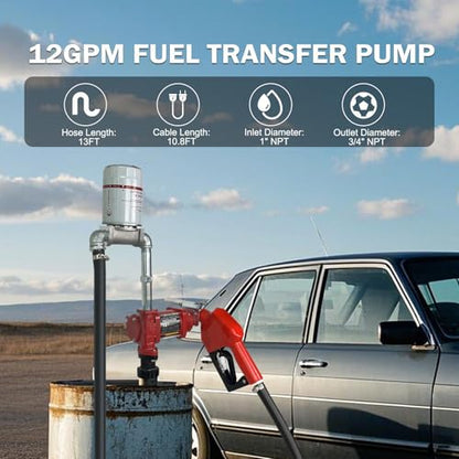 12V 12GPM Fuel Transfer Pump with Particulate Filter for Gasoline Diesel