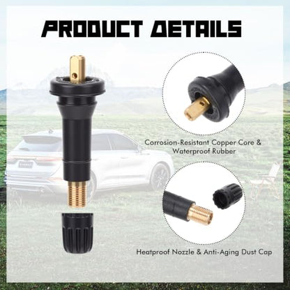BBTO 100 Pcs 17-20008 TPMS Snap-in Tire Pressure Sensor Valve Stem, 20008 20018 Replacement