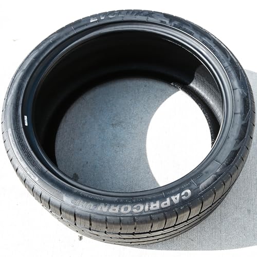 Evoluxx Capricorn UHP 275/30R19 96W XL All Season Passenger Tire - size: 275/30R19