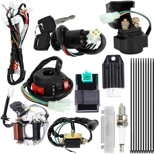 Complete Electrics Wiring Harness Kit for Coolster Tao Tao 125cc 110cc 70cc 50cc ATV Quad 4 Wheeler 4 Stroke Parts, with Lgnition Coil Solenoid Valve Starter Relay Stator Voltage Regulator CDI Box