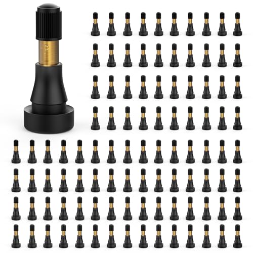 100PCS TR600HP Tire Valve Stems, High Pressure Brass Rubber Snap-in Tire Wheel Valve Stem for Most Car Auto Tires