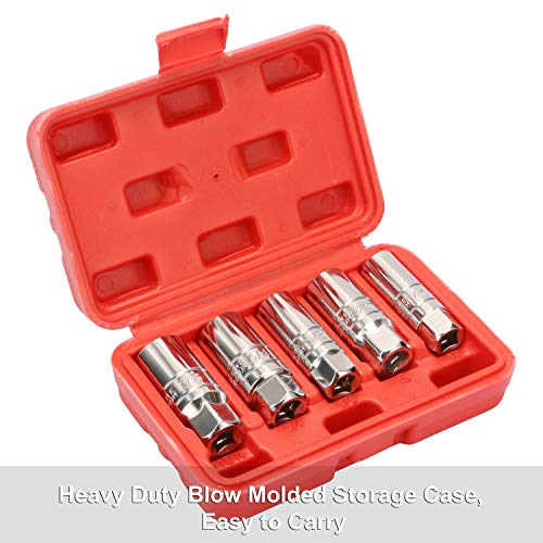 CASOMAN 3/8-Inch Drive Spark Plug Socket Set, 6-Point, 5/8-Inch, 3/4-Inch, 13/16-Inch, 14mm, 18mm, 5-Piece Set - size: 5-Piece Set