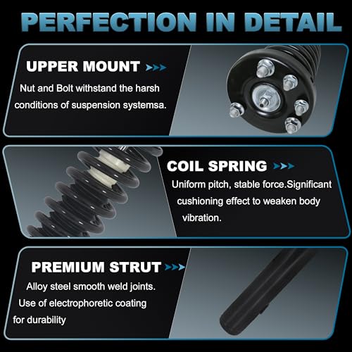 172123 Front Struts Assembly Compatible with 2003-2007 Honda Accord - size: 172123L 172123R