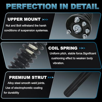 172123 Front Struts Assembly Compatible with 2003-2007 Honda Accord - size: 172123L 172123R