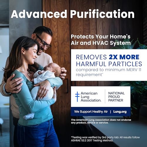 Genuine AprilAire 210 Replacement Filter for AprilAire Whole-House Air Purifiers - MERV 11, Clean Air & Dust, 20x25x4 Air Filter (Pack of 1)