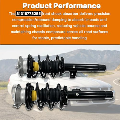 Pair Front Struts Assembly w/Coil for 06-13 BMW 325xi 328i 335i xDrive