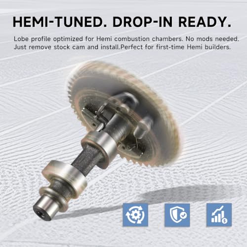 212 .265 Hemi Hot Cam Camshaft for predator 212cc Engine