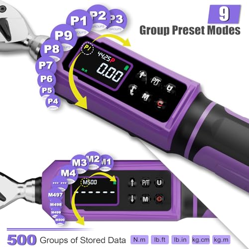 ANPUDS Digital Torque Wrench 3/8", ±1% Accuracy, 0.66-44.25 Ft-lb - size: 0.66-44.25 Ft-lb