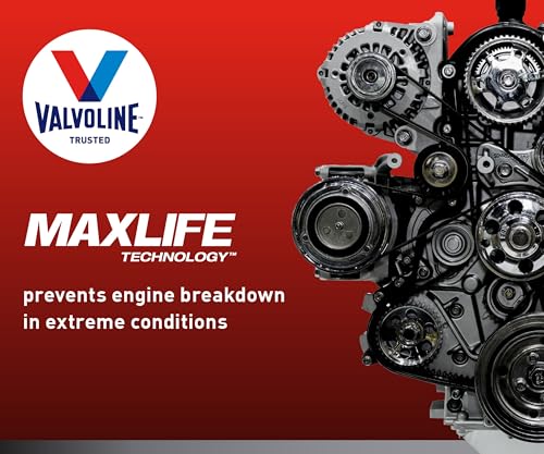 Valvoline Full Synthetic High Mileage with MaxLife Technology SAE 5W-30 Motor Oil 5 QT, Case of 3 - size: 5 qt (Pack of 3), style: Full Synthetic High Mileage