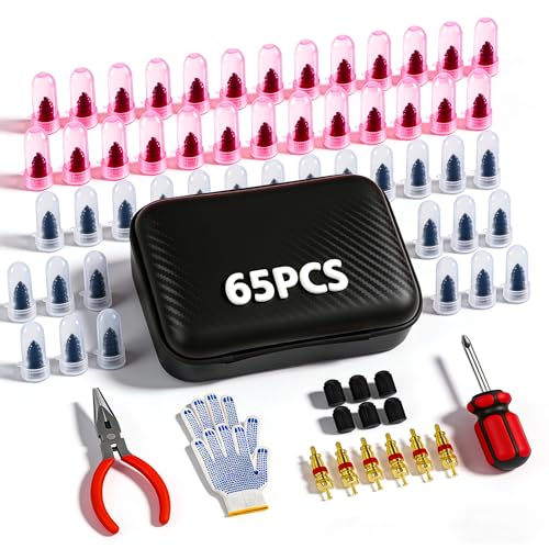 65Pcs Tire Plugs Screw Type